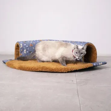 Gato usando o Tunel Kitty Cat Fabrica Pet Caramelo